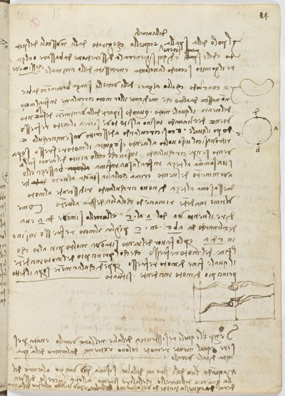 Code de vol des oiseaux, c. 1505-06, manuscrit sur papier, cc. 18, feuille 14 recto - Leonardo da Vinci